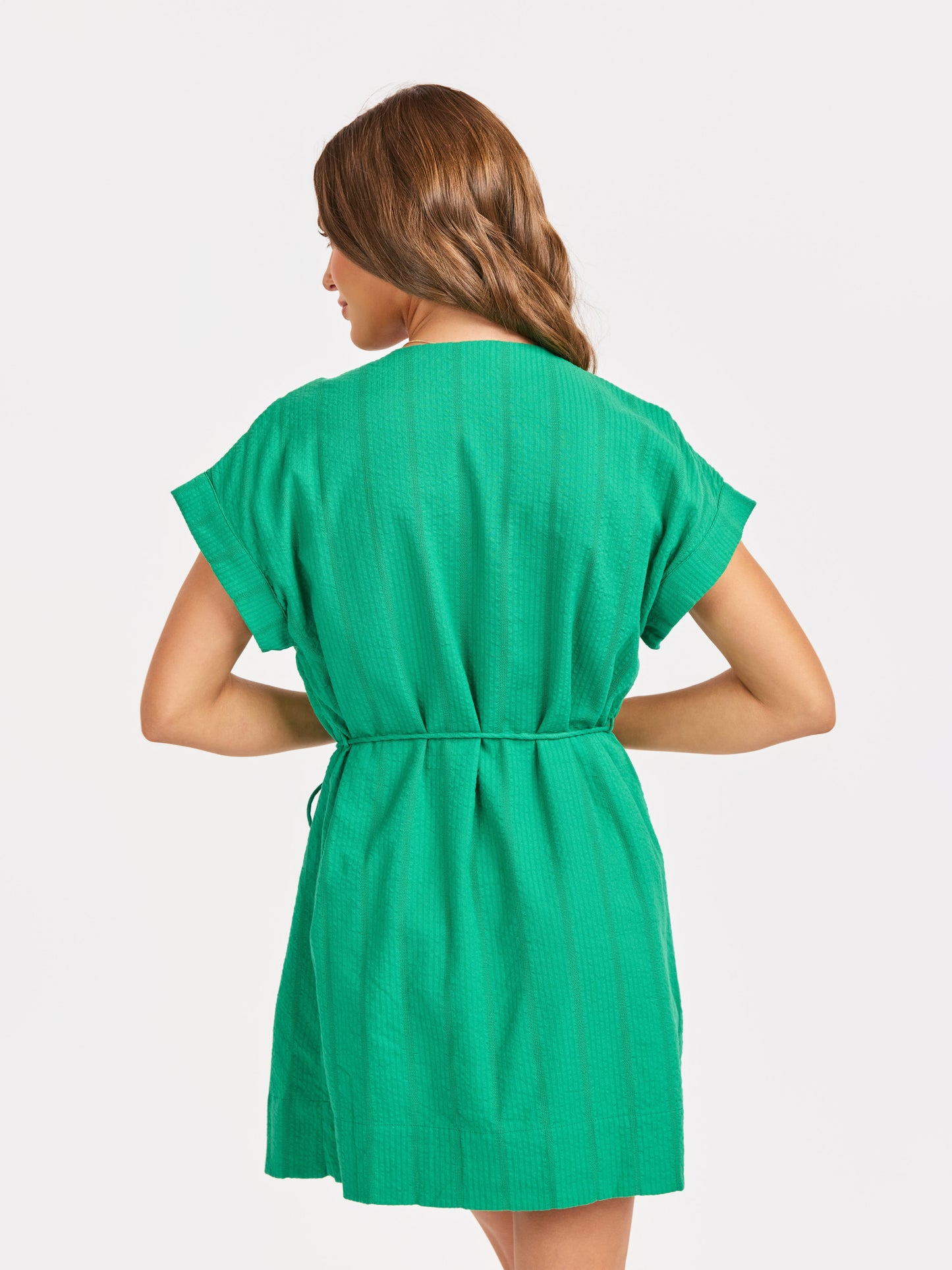 Radiate Pintuck Mini Dress in Green - back crop view