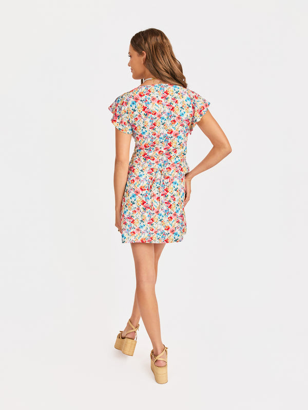 Cove V Neck Mini Dress in Multi - back view