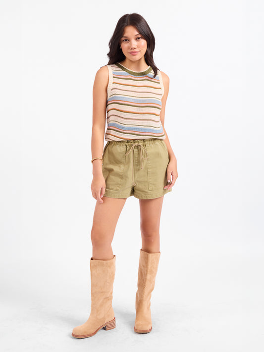 Fall Stripe Sweater Vest in Multi - front view