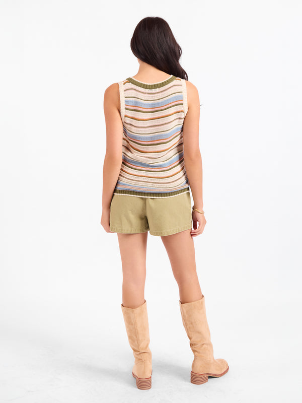 Fall Stripe Sweater Vest in Multi - back view